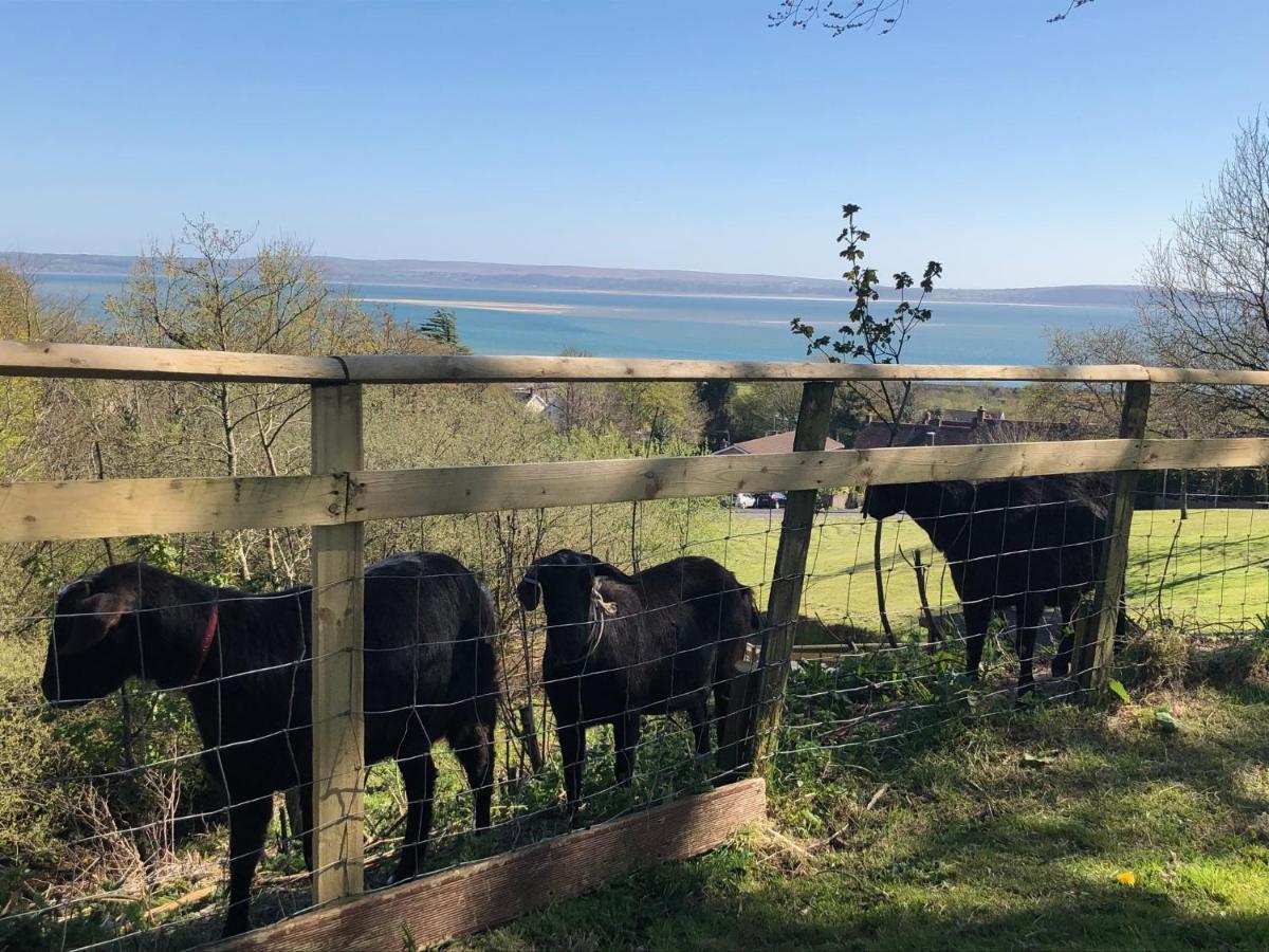 Apartament Bronllys Farm Coastal Self-Catering Llanelli Zewnętrze zdjęcie