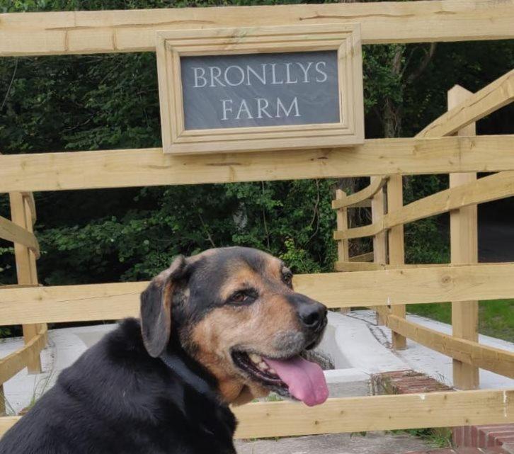 Apartament Bronllys Farm Coastal Self-Catering Llanelli Zewnętrze zdjęcie